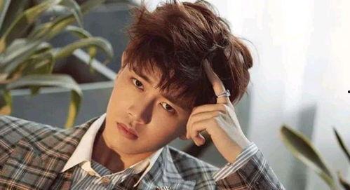 任嘉伦郑爽最新爆料,揭秘娱乐圈背后的真相与情感纠葛